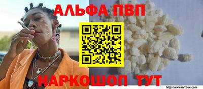 шишки Кимры