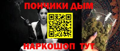 шишки Кимры